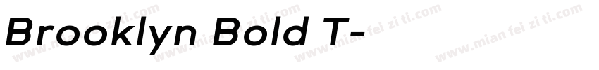 Brooklyn Bold T字体转换